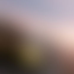 Chevrolet Corvette C7