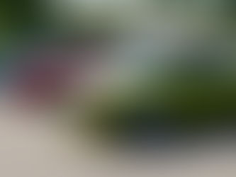 Volkswagen Golf (MK1) Beam.NG