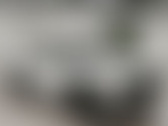 Toyota Tacoma Pack - BeamNG MOD