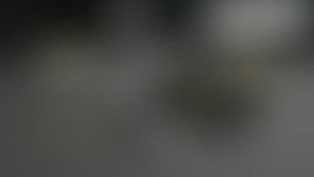 FS19 DUALLIES FOR L218 SKIDLOADER V1.0