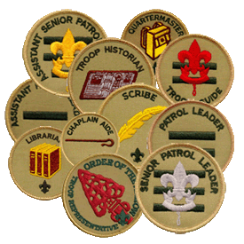 Boy Scouts NY