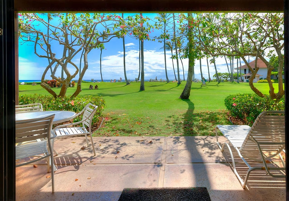 Lanai View to Ocean1.jpg