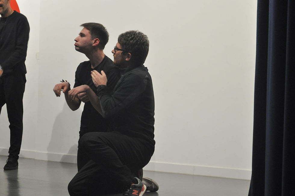 Terapia del Espejo I