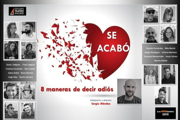 Póster 8 maneras de decir adiós_edited