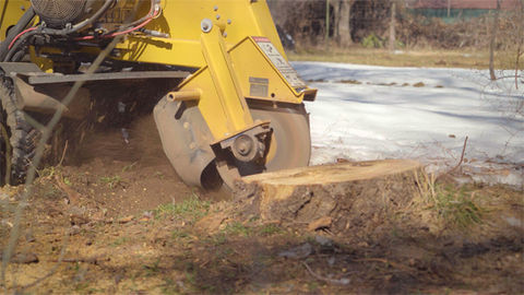 Stump Grinding throughout Cecil County, MD, and Southern Chester County, PA
