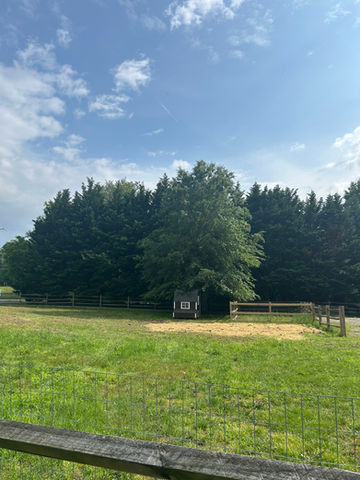 Tree Removal Elkton, MD | Perryville, MD | Colora, MD | Fair Hill, MD | North East, MD | Port Deposit, MD | Cecil County Tree Trimming