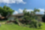 Emergency Tree Service