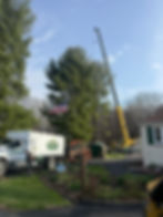 Colora, MD Tree Removal Job 04-01-2026