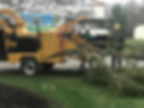 Tree Service - Chipping.jpg