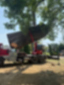 Tree Removal & Service