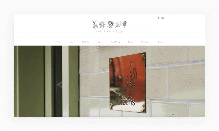 include homepage video for a modern website with Five Fields as an example