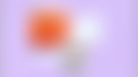 What is affiliate marketing and how to get started?