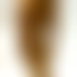 ARCHING FIGURE