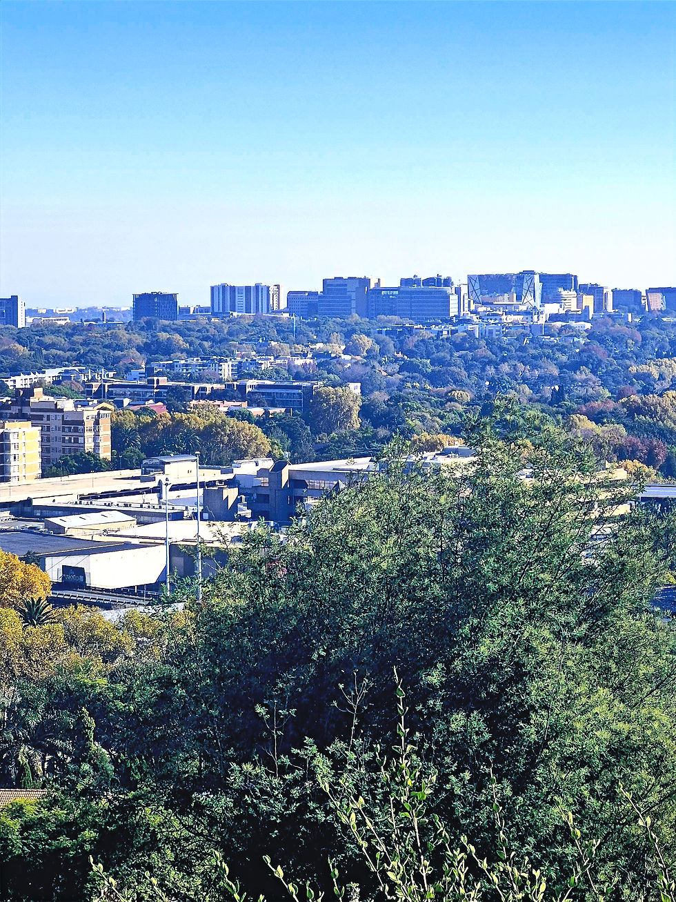 Sandton Skyline