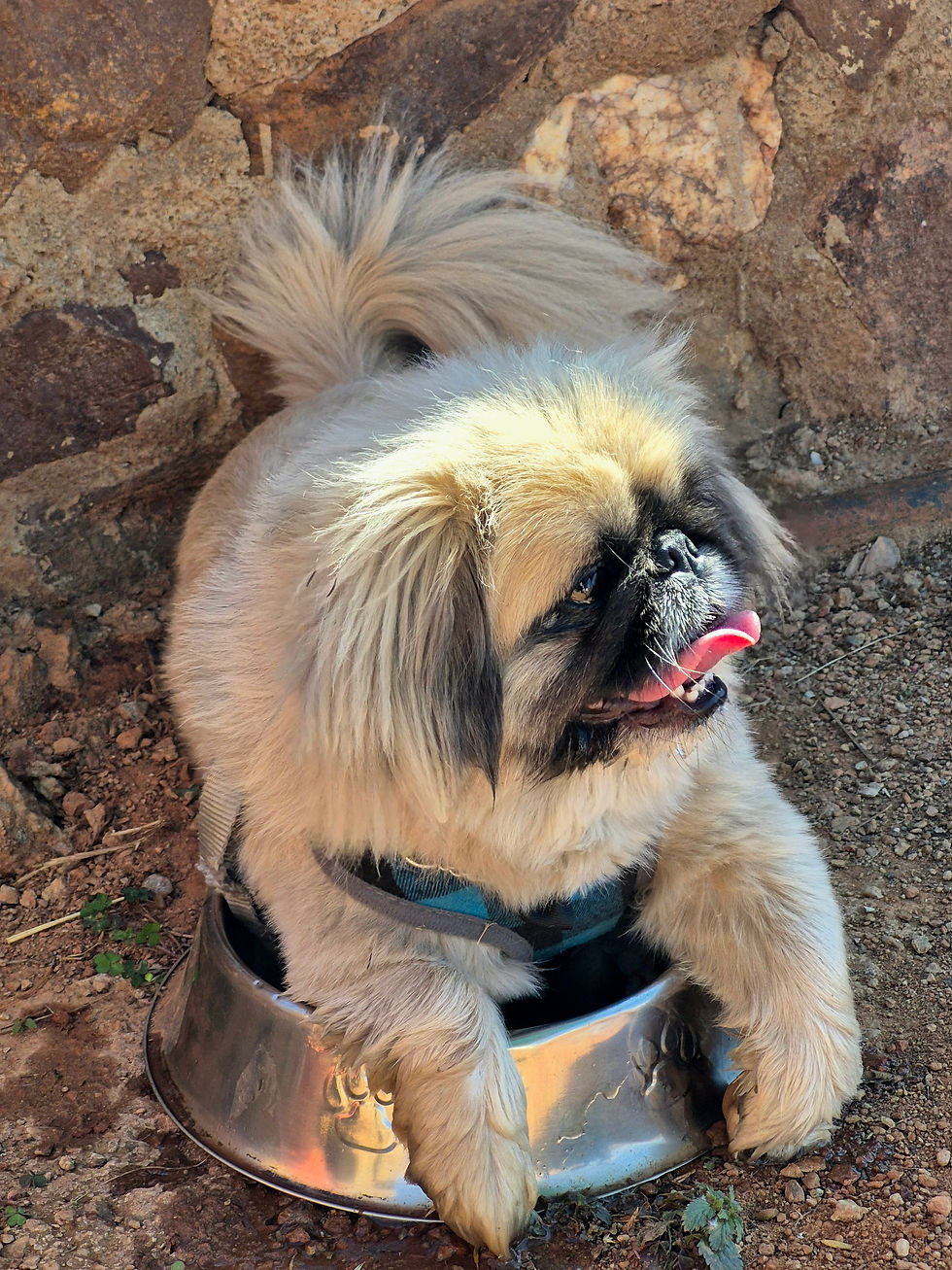 Douglas cooling off
