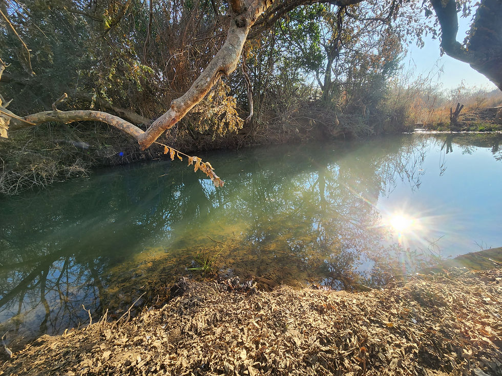 20240714_090617 (1).jpg