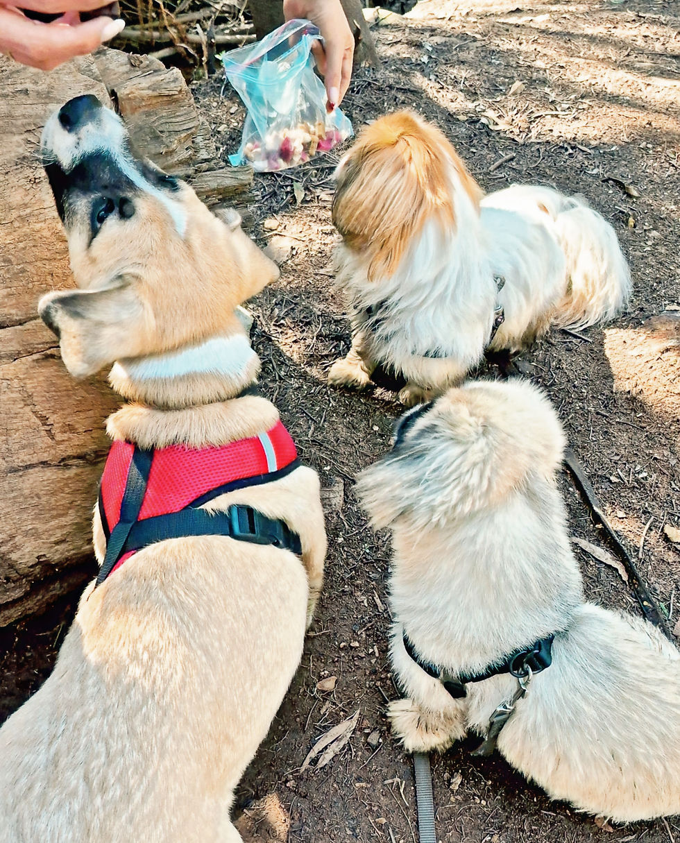 Daisy, Douglas and "I don't want to discuss it".