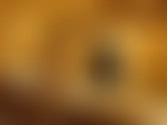 Laval Jewelry Buyer Guide: Get the Best Price