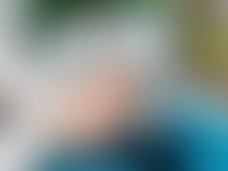 Preuniversitario Online: Cómo prepararte para la Prueba De Transición desde casa