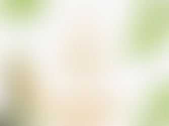 4 Ways to Sanitize Anything for your Birds