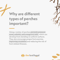 an explanation why different types of perches are important