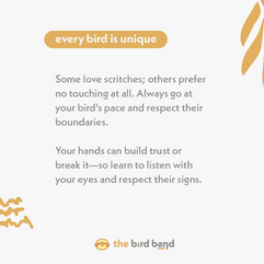 Every bird is unique
