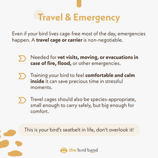 explanation about travel and emergency cages