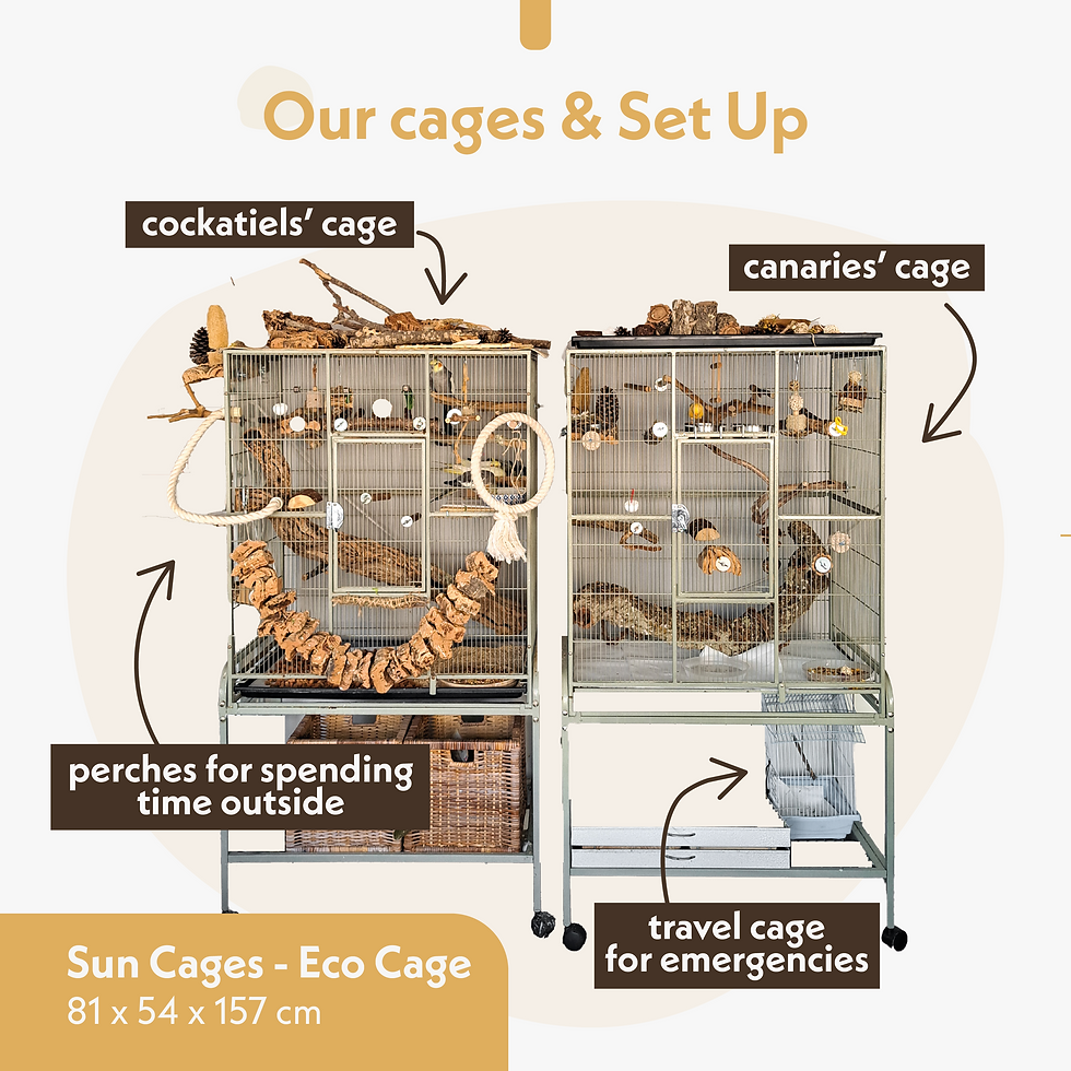 photo of two cages