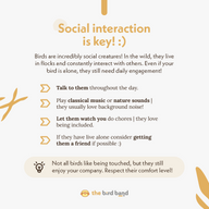 Explanation slide with icons and decoration