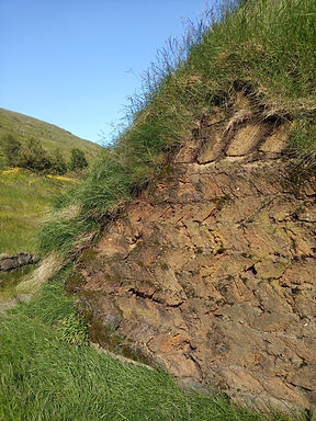The ends of the longhouse are not covered with grass like the roof, but show the zig-zagging turf bricks.
