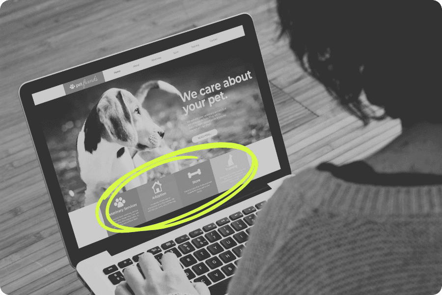 mulher acessando o website institucional de uma clínica veterinária