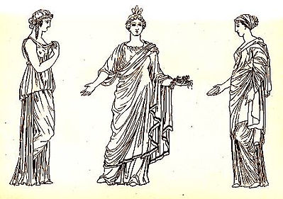 chiton.jpg