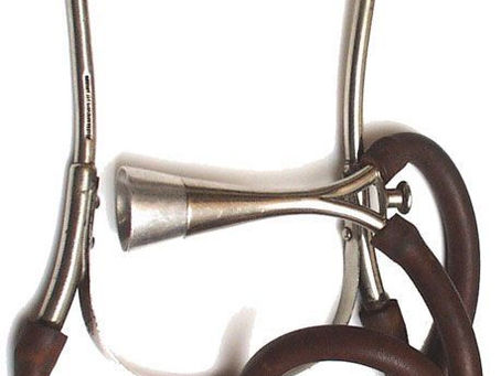 The Evolution of the Stethoscope: From Wood to Digital Mastery