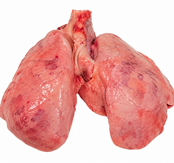 image (6).png