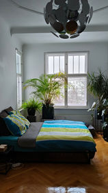 Anthony's Cleaning Service. €25 /hour.
Minimum 3 Stunden.
Reinigungsservice
HausReinigungsdienst