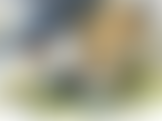 ✨ Held in HIS Hands ✨