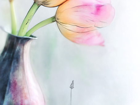 When the Magic Fades — and Peace Finds You Anyway