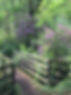 thumbnail_image3.jpg