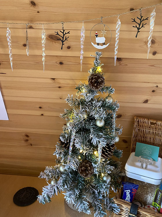 christmas tree and decs.jpg