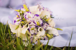 Свадьба на Тенерифе