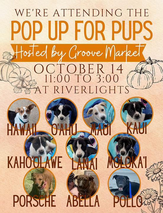 Pop Up for Pups Groove Market