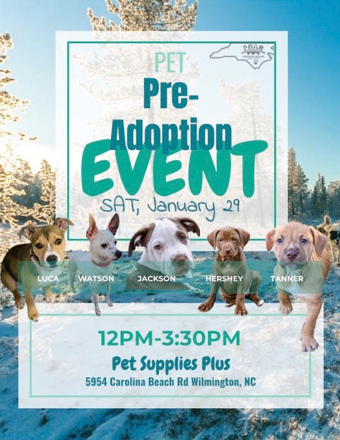 JAN 29 Meet the Pups Event
