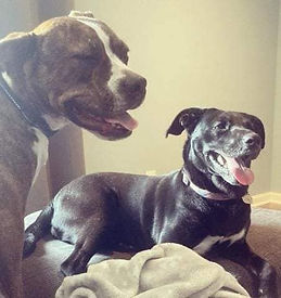 Cora Adopted