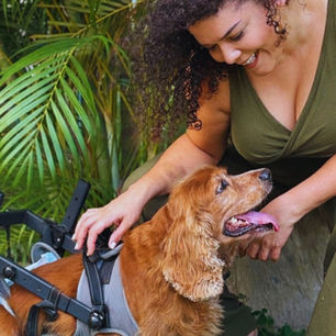 Getting Back Up, Again and Again