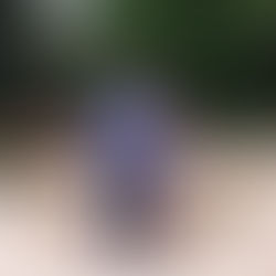 Celeste: The Story That Defies Genetics and Moves the World