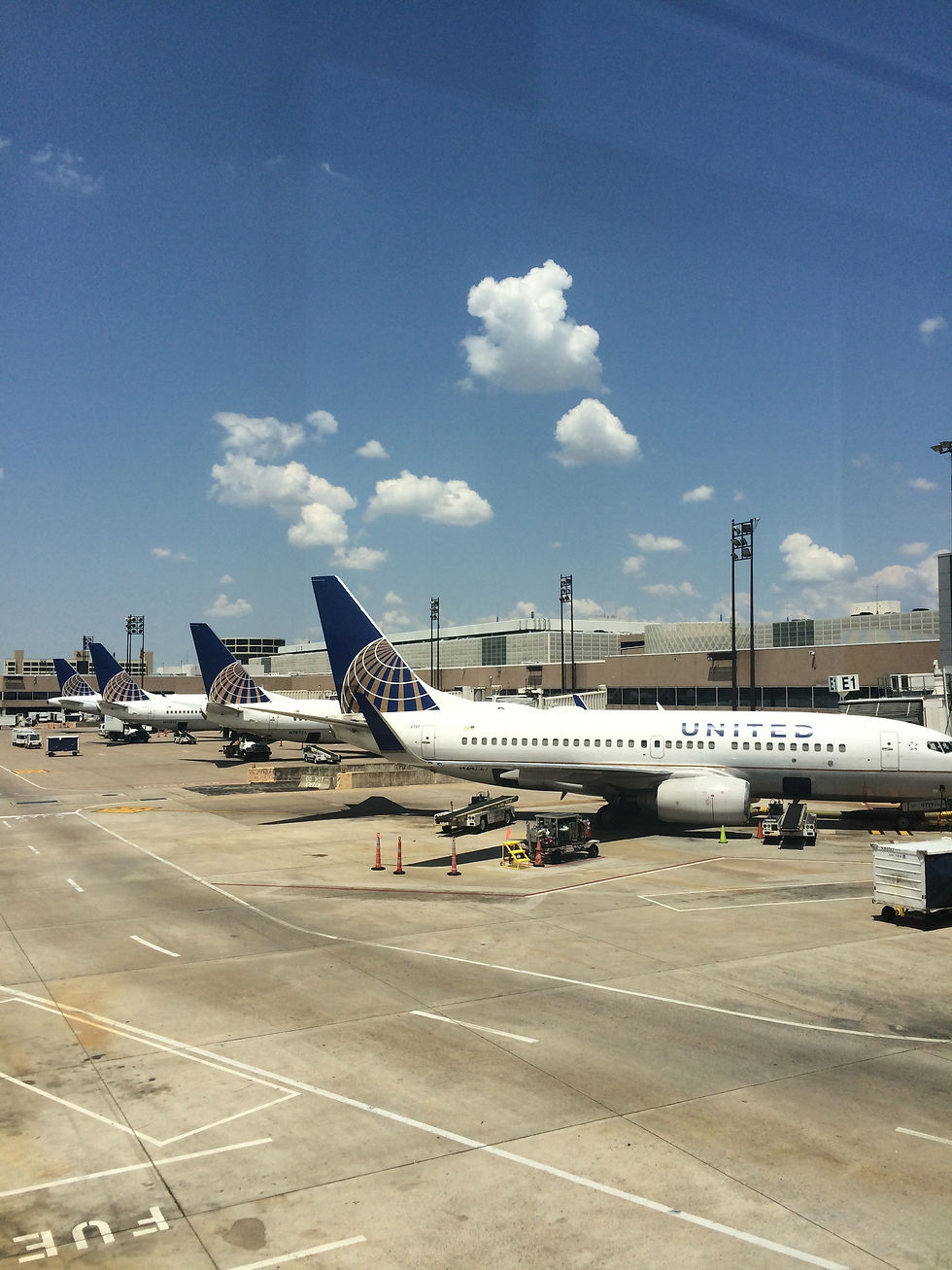 Summer Travel Guide