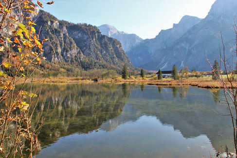 Natur (Klaus Endt) (2).jpg