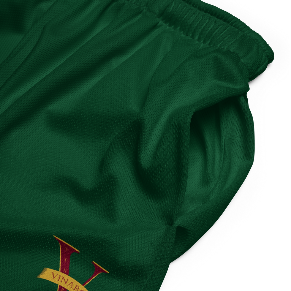 الصورة المصغرة: Vinaro Basketball Shorts - Royal Green
