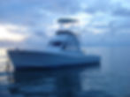 Albatros