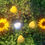 Thumbnail: Manifestation 